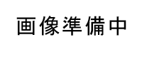 q[bgpbJ[hTCNgi[J[gbW CE251A@VAʐ^